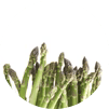 asparagus